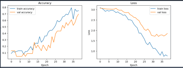 CNN training and validation accuracy and loss curves